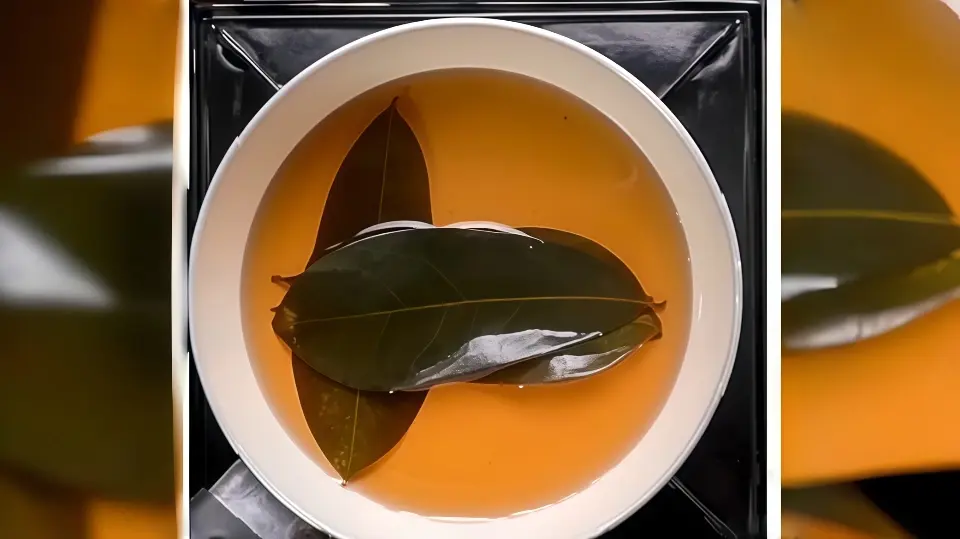 Boiling Soursop leaf
