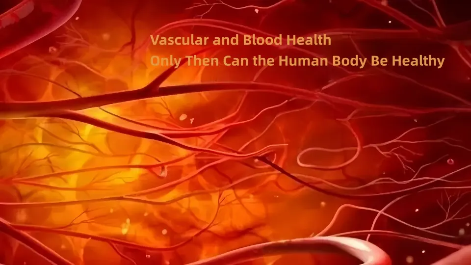 Vascular and Blood Health Only Then Can the Human Body Be Healthy