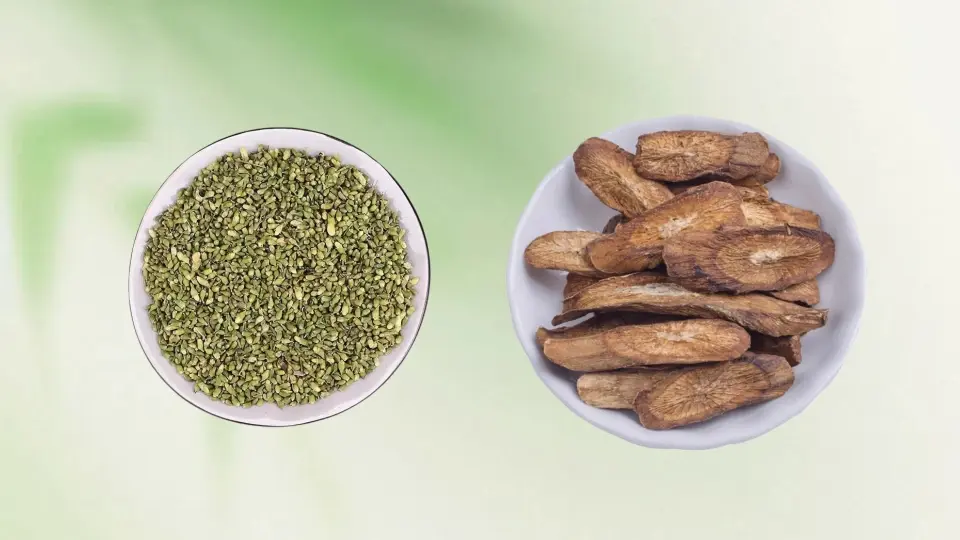 The ingredients of Blood Cleanser Tea, including Sophora Flower and Burdock Root