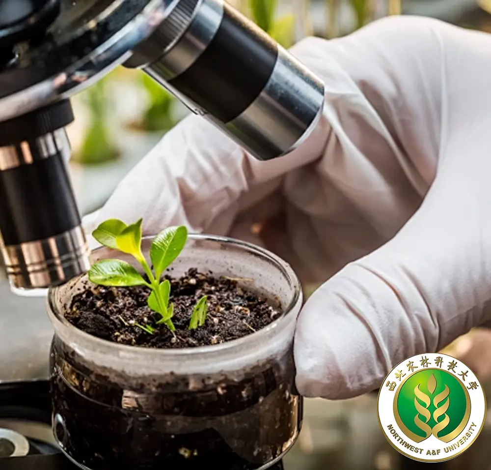 Наука x Ритуал