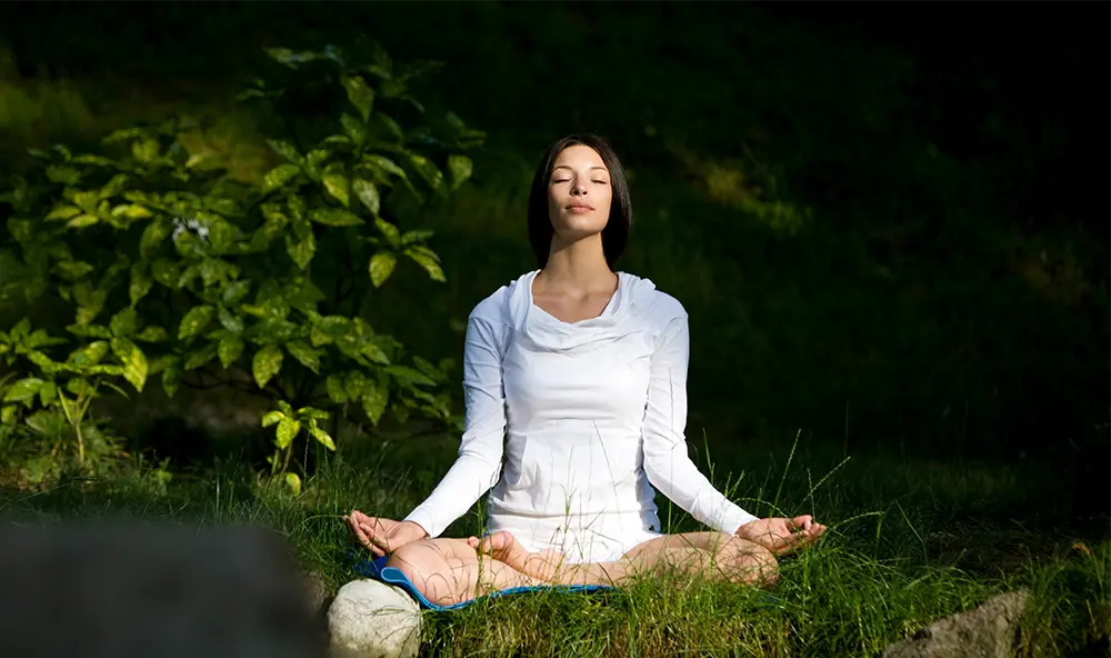 У Лаикухербу верујемо да чај треба да одговара вашем стању.