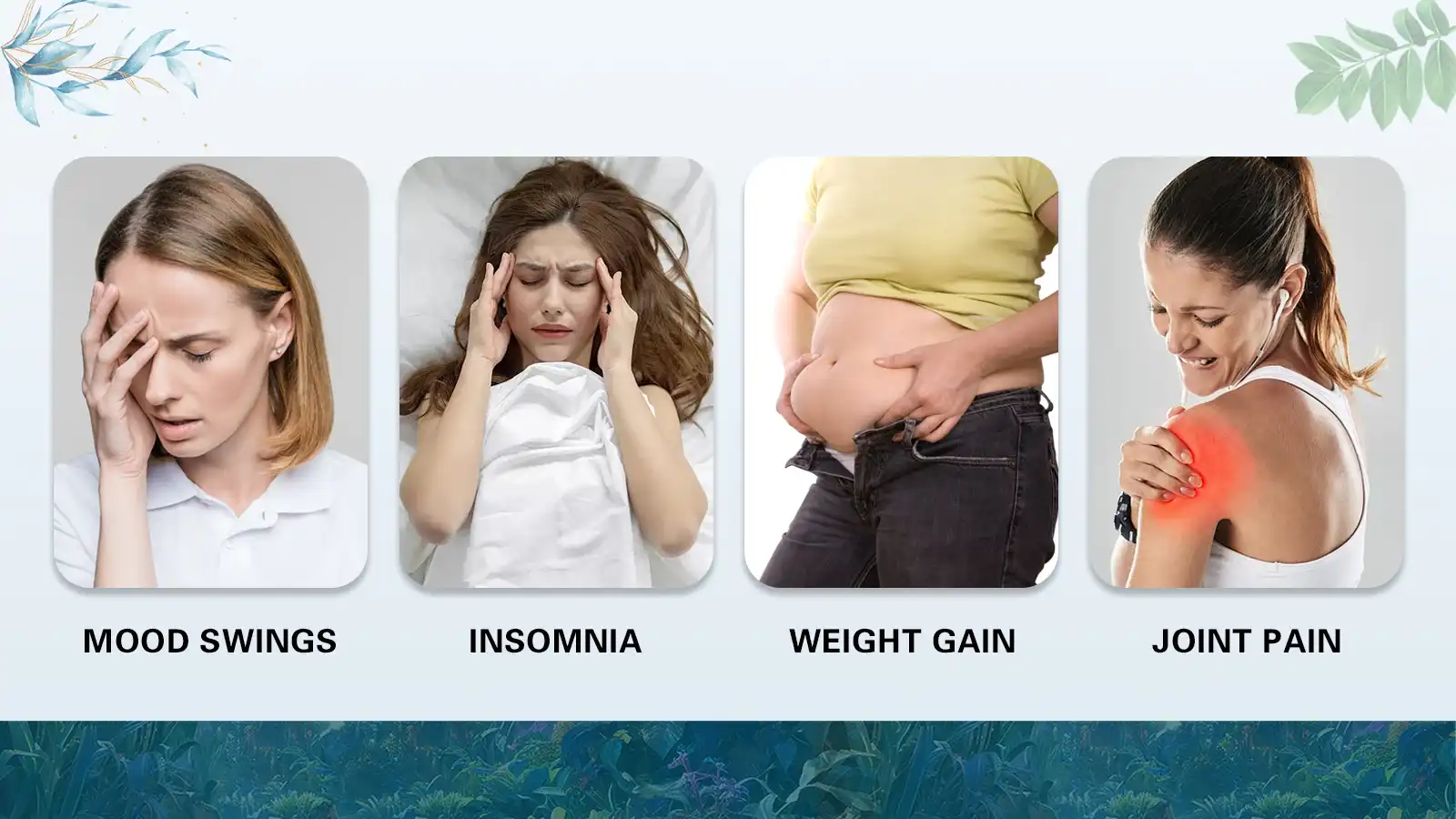 Application Areas Application Areas