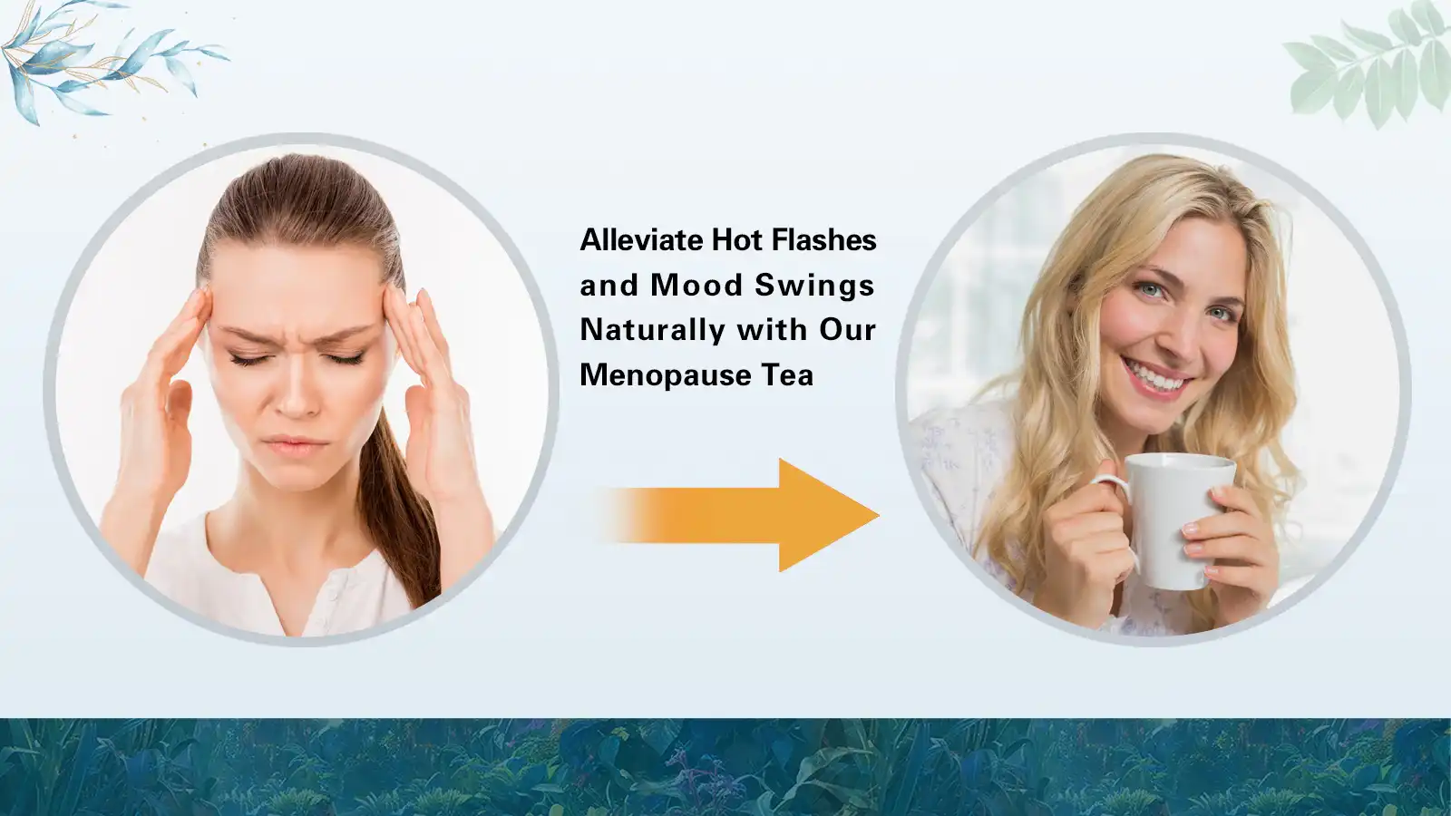 Features and Advantages Features and Advantages