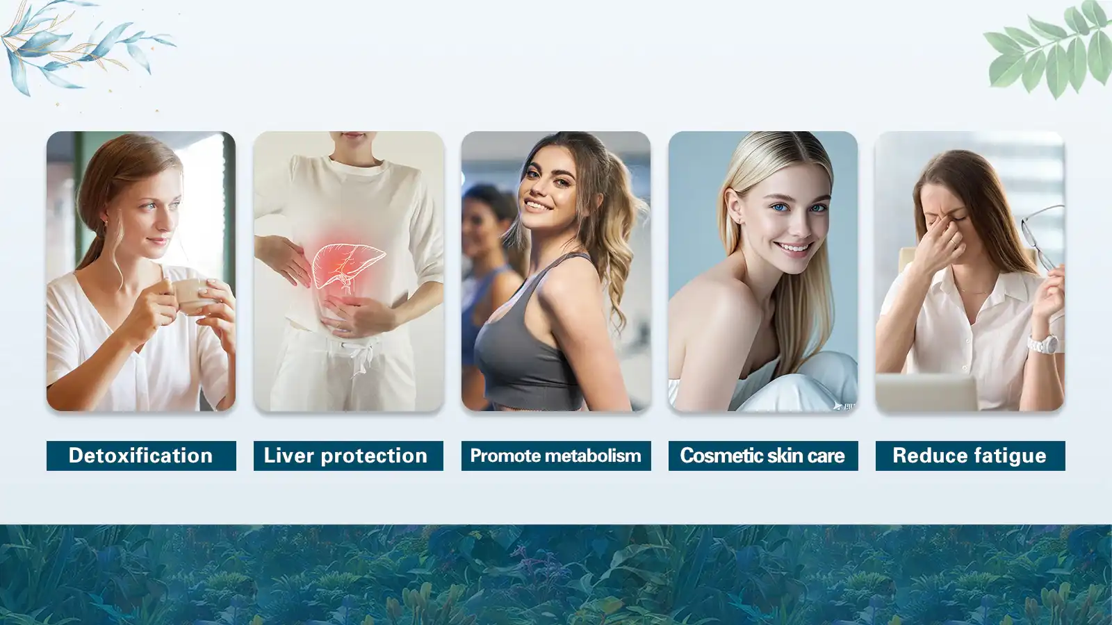 Application Areas Application Areas