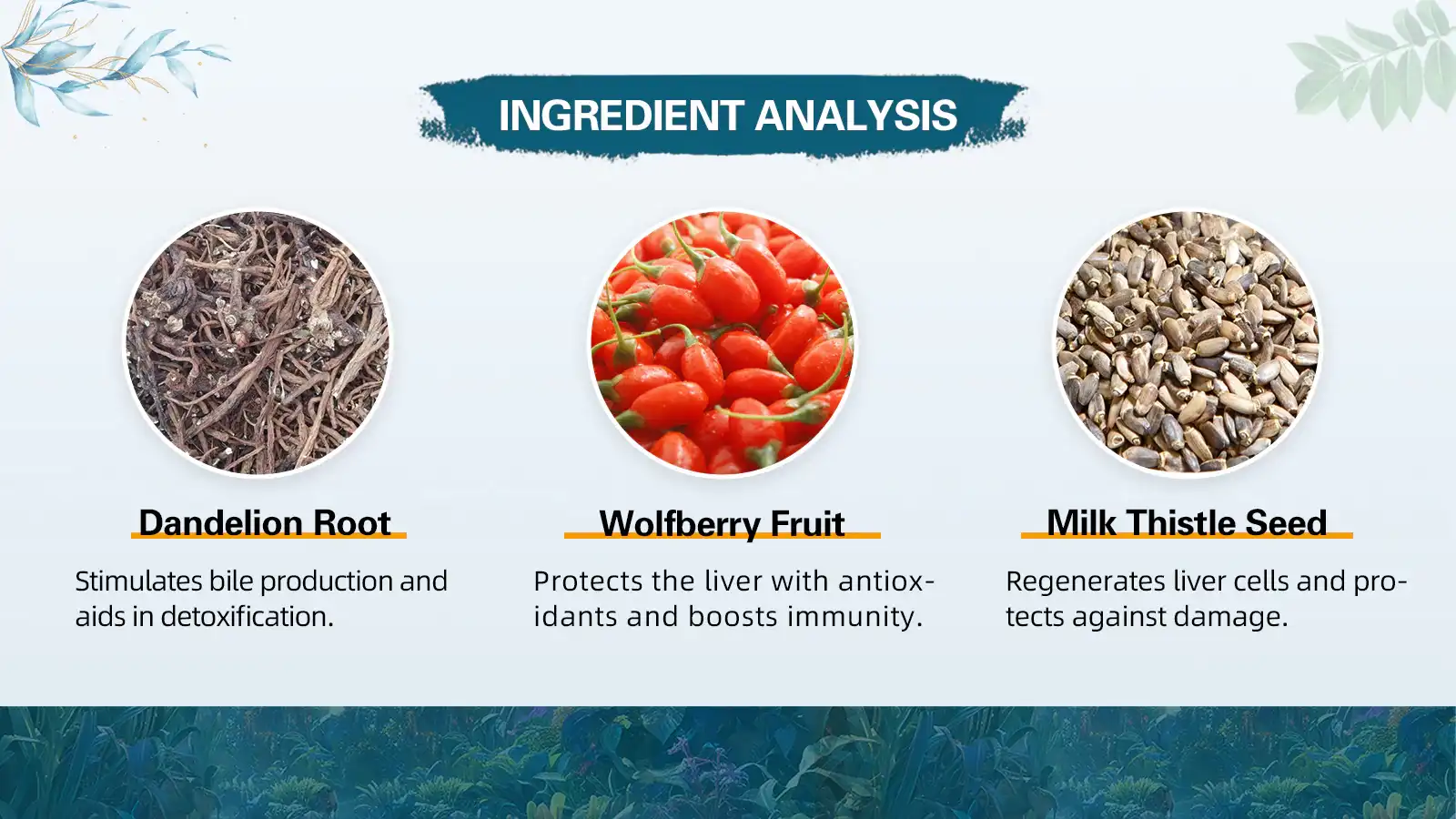 Active Ingredients Active Ingredients