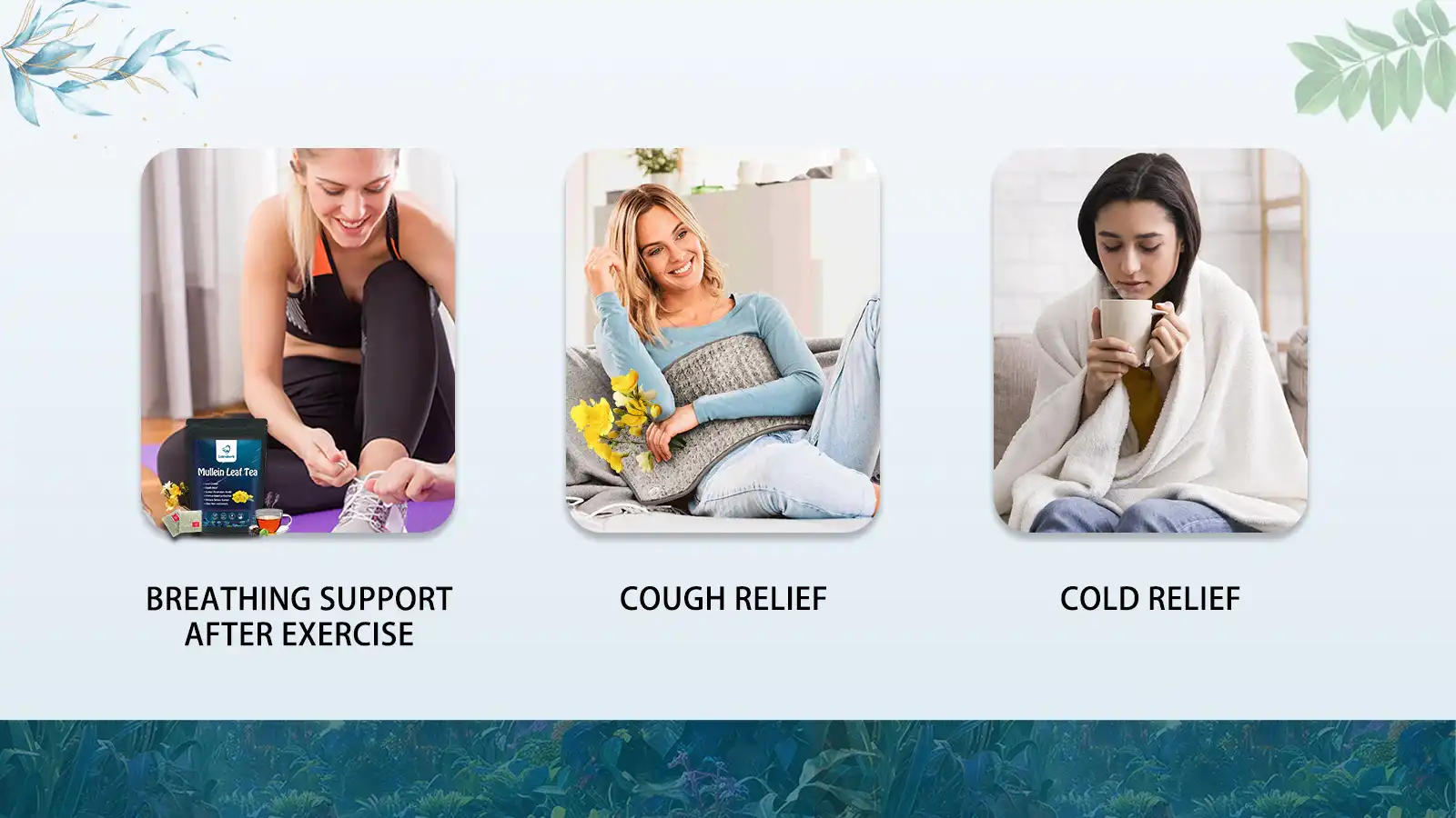 Application Areas Application Areas