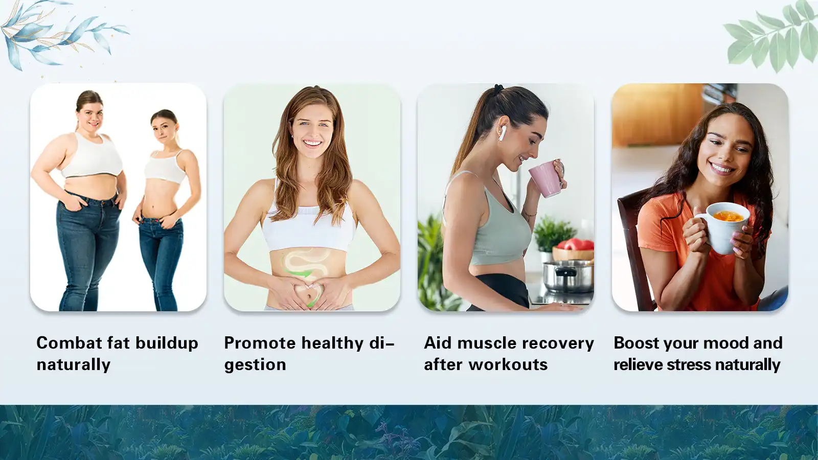 Application Areas Application Areas