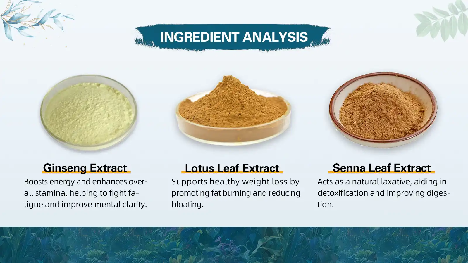 Active Ingredients Active Ingredients