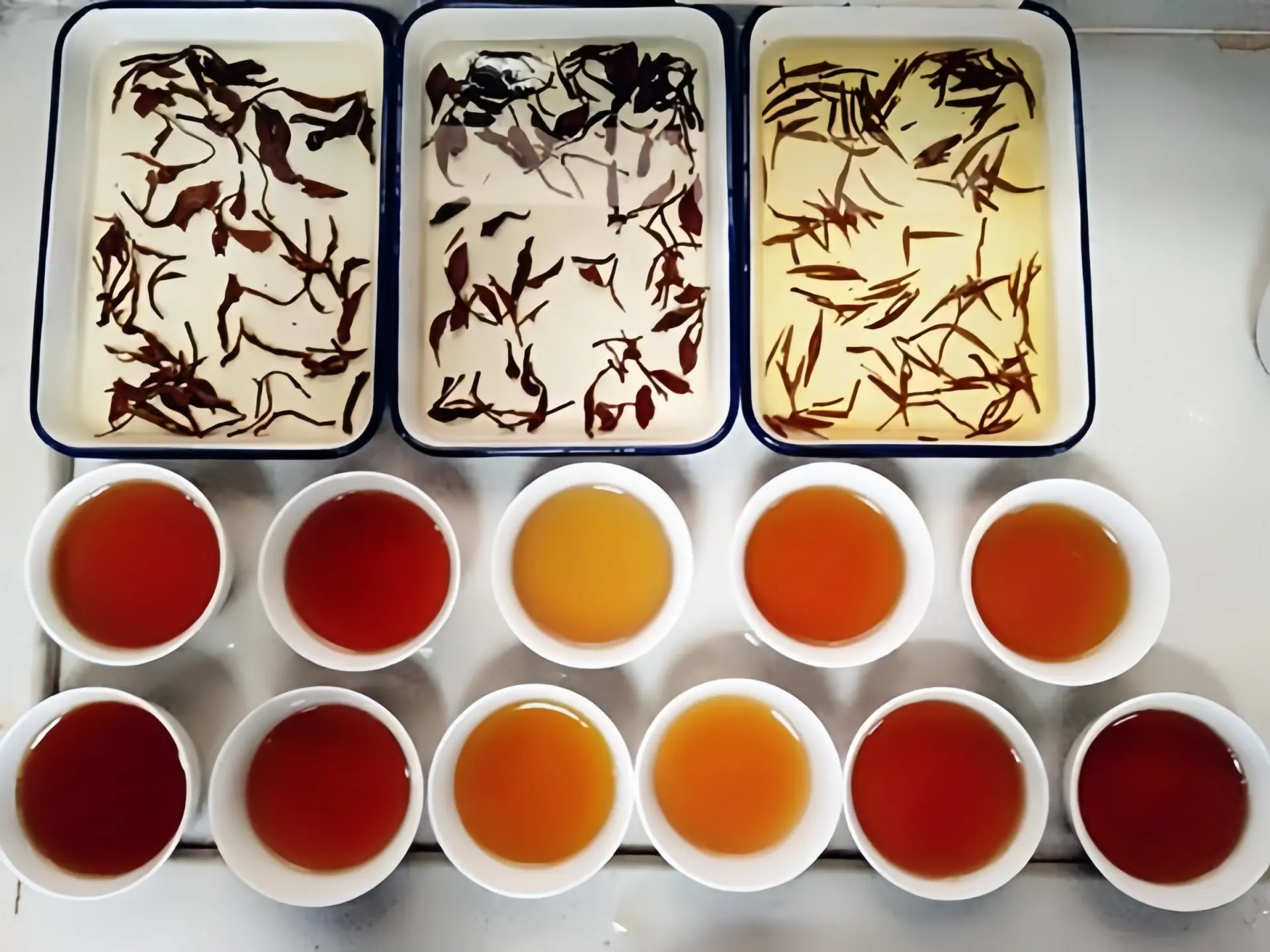 2025 Top Slimming Teas