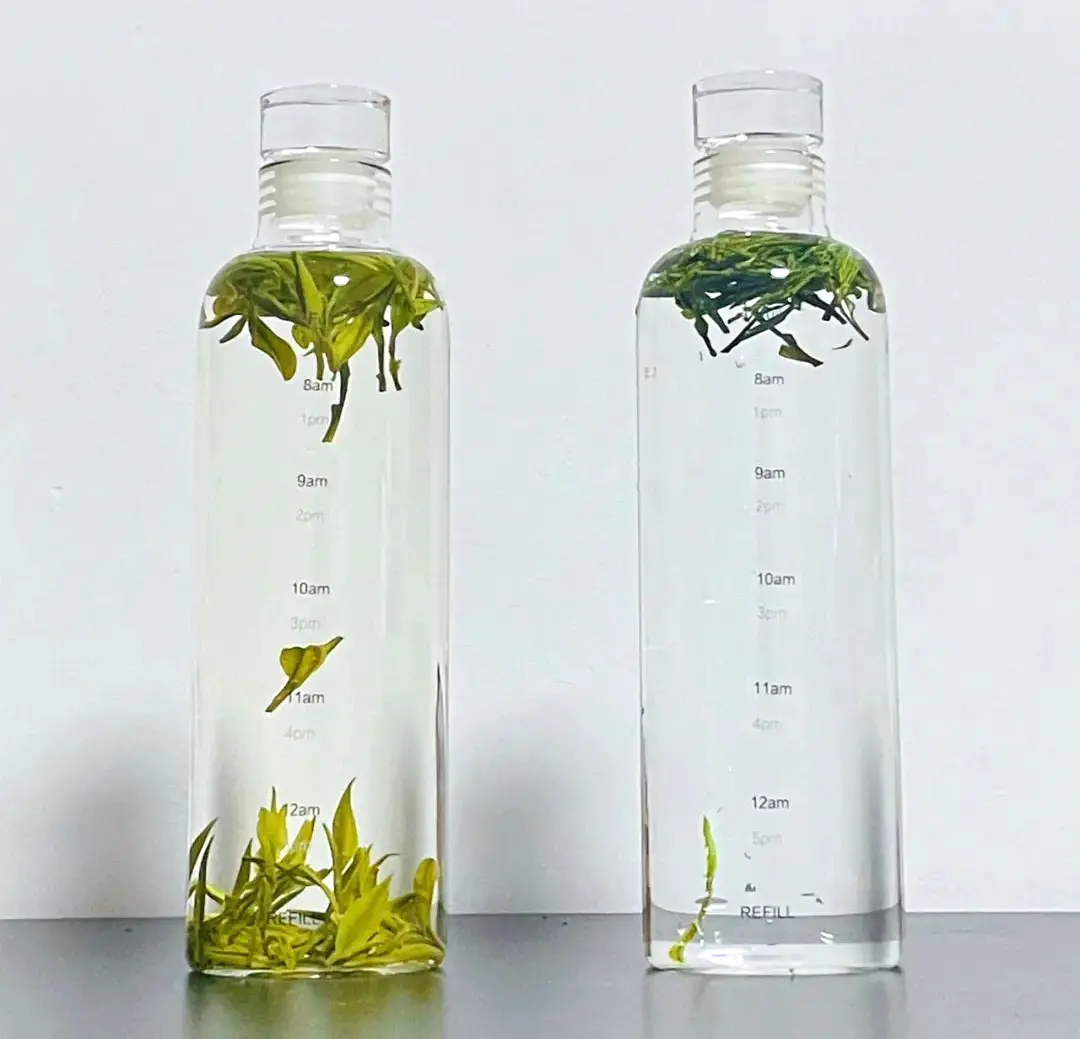 Comparison of appearance between cold-brewed tea and hot-brewed tea Comparison of appearance between cold-brewed tea and hot-brewed tea