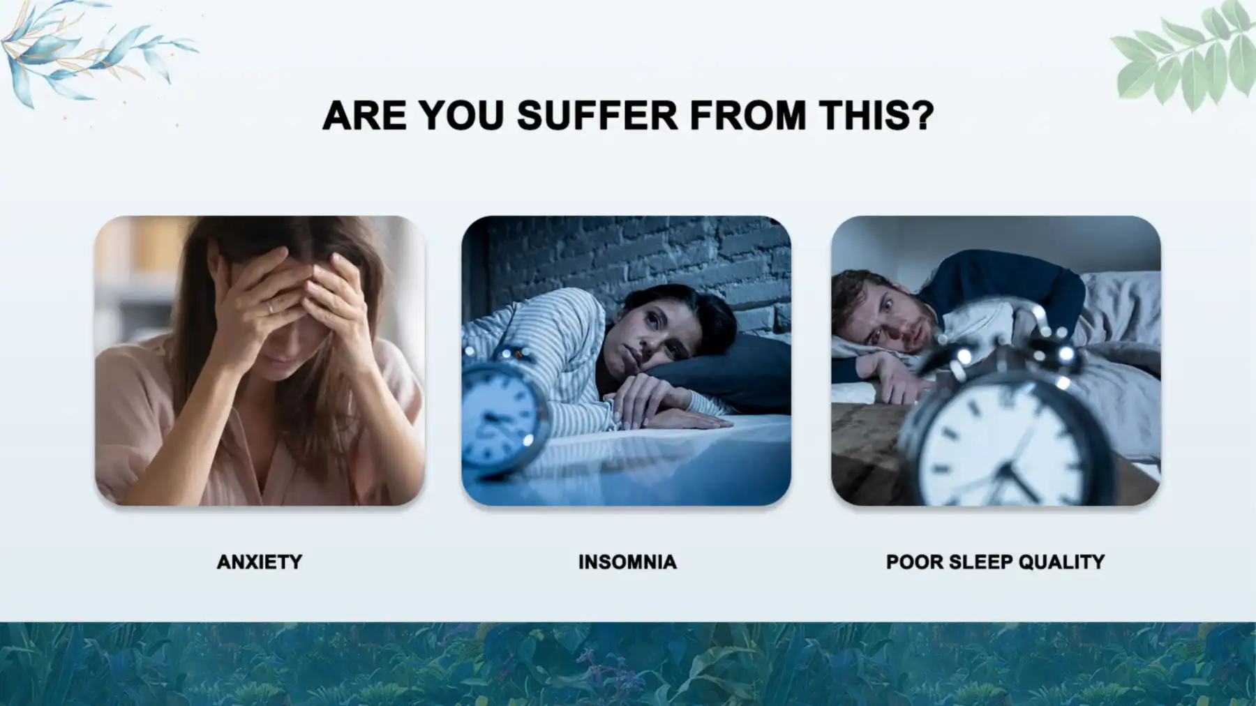 Application Areas Application Areas