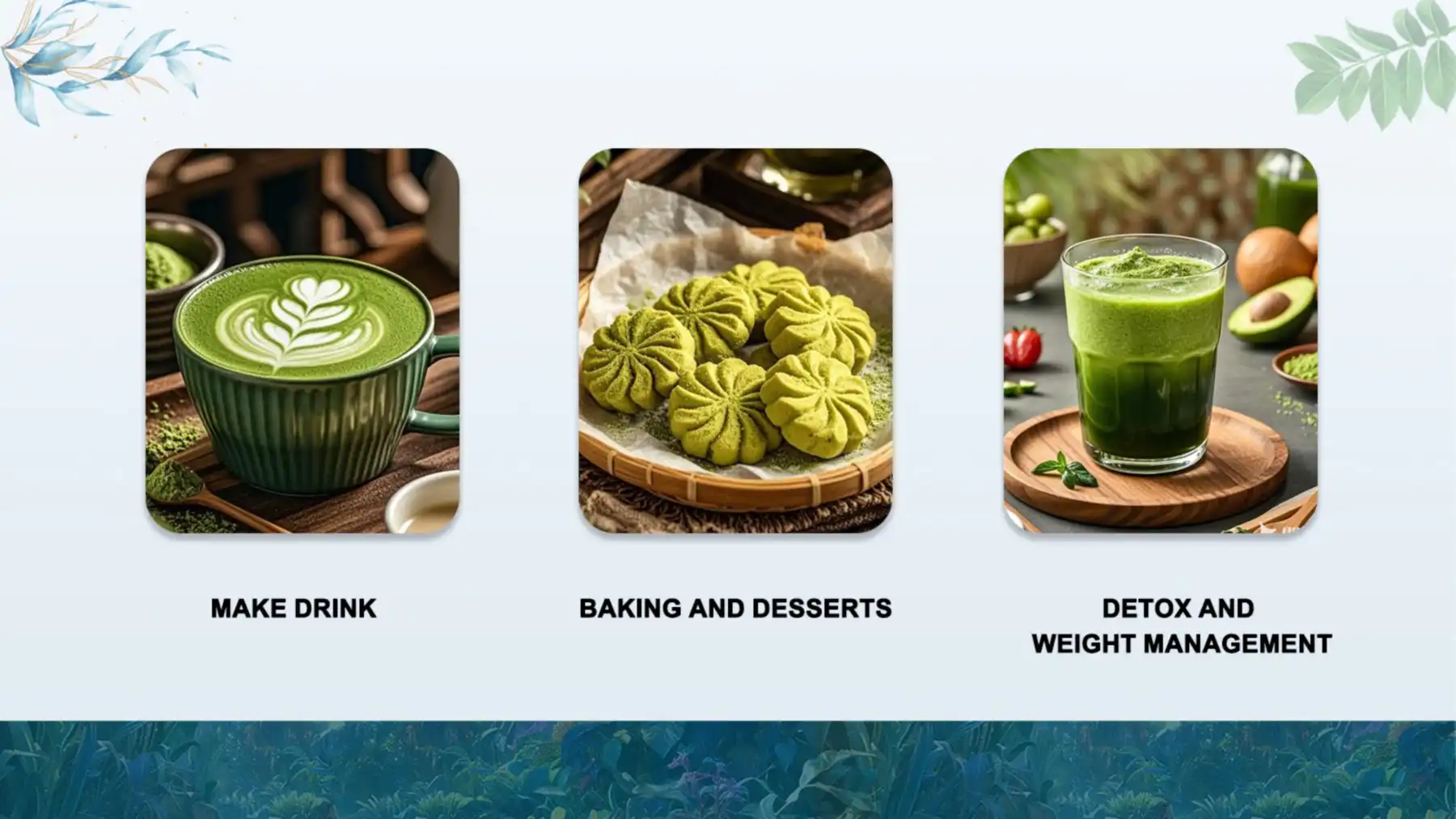 Application Areas Application Areas