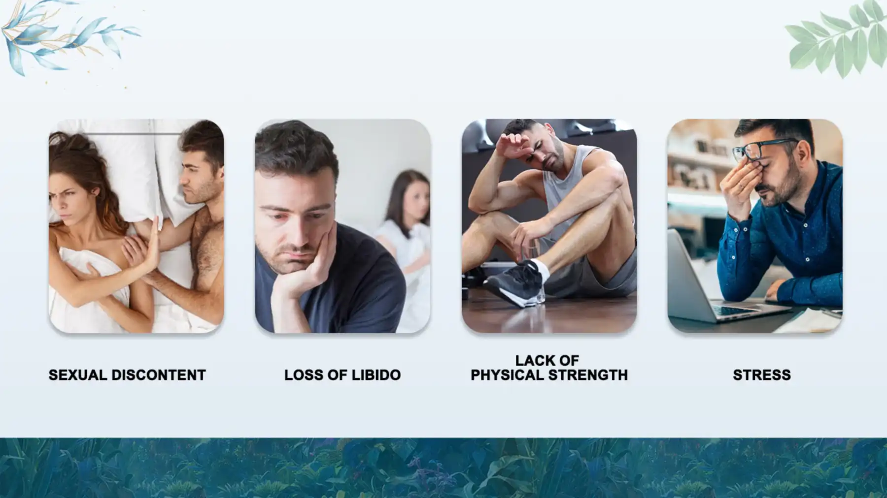 Application Areas Application Areas