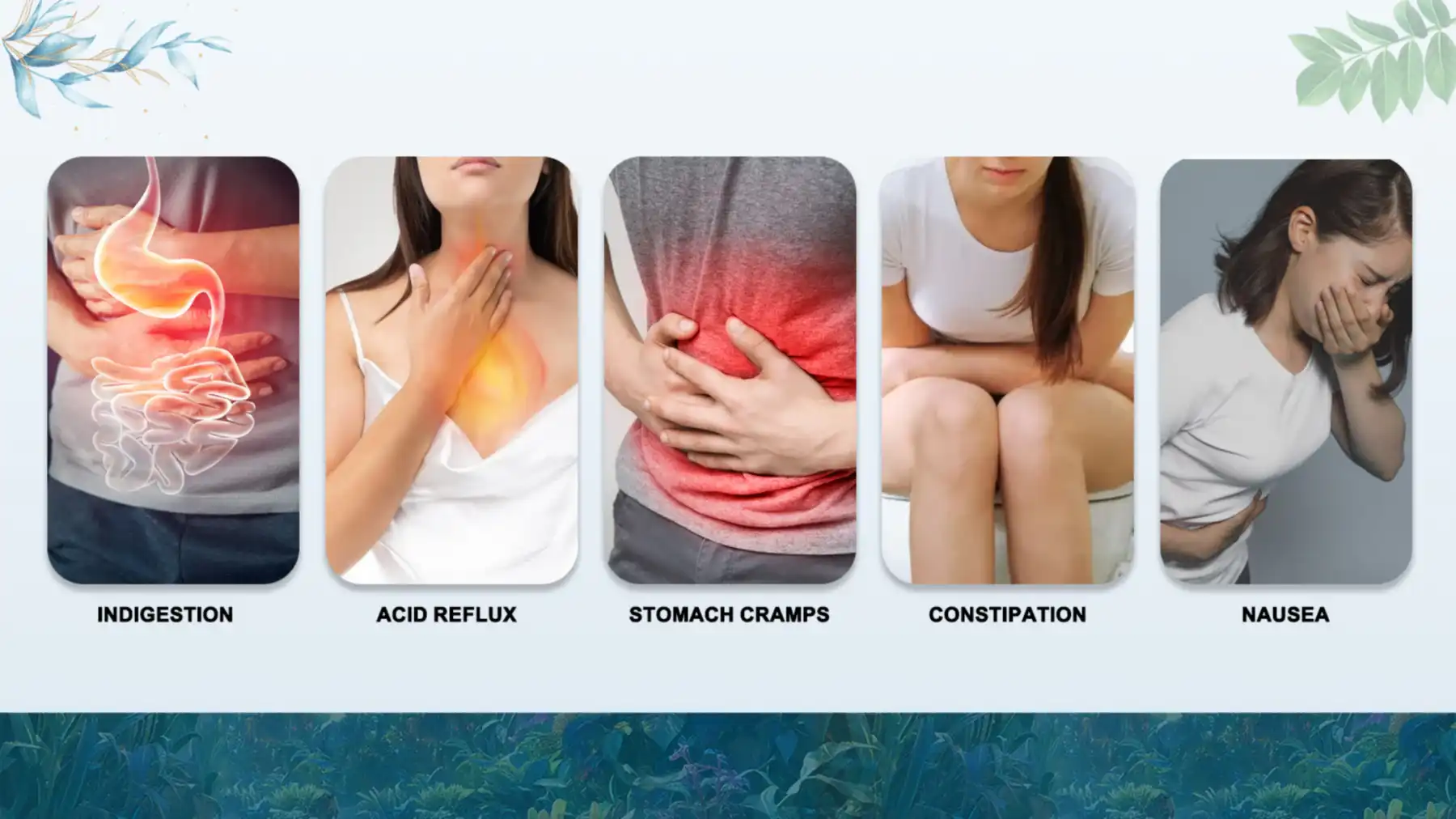 Application Areas Application Areas