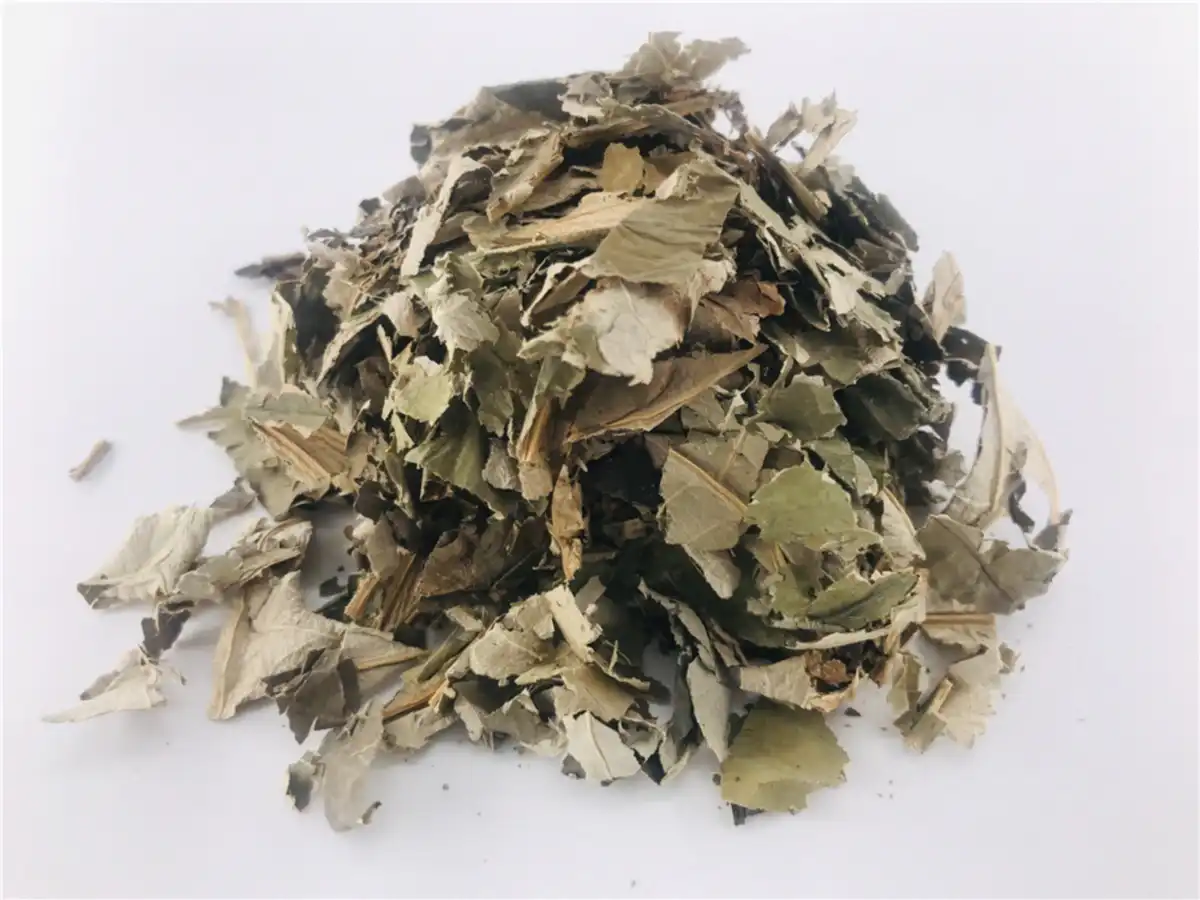 Chinese herbal medicine lotus leaf Chinese herbal medicine lotus leaf