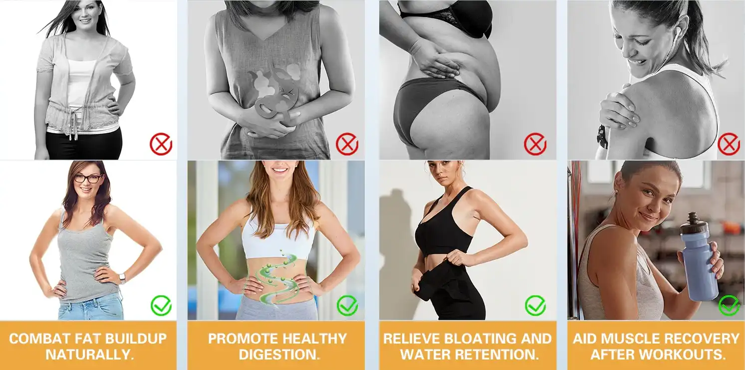 Application Areas Application Areas