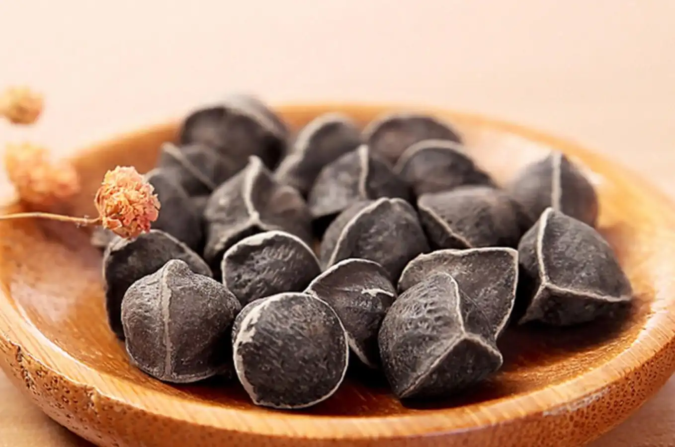 Moringa Seed Moringa Seed