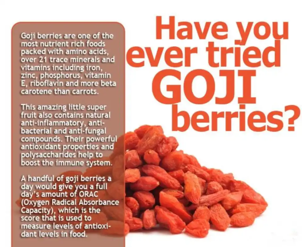 The benefits of goji berries The benefits of goji berries