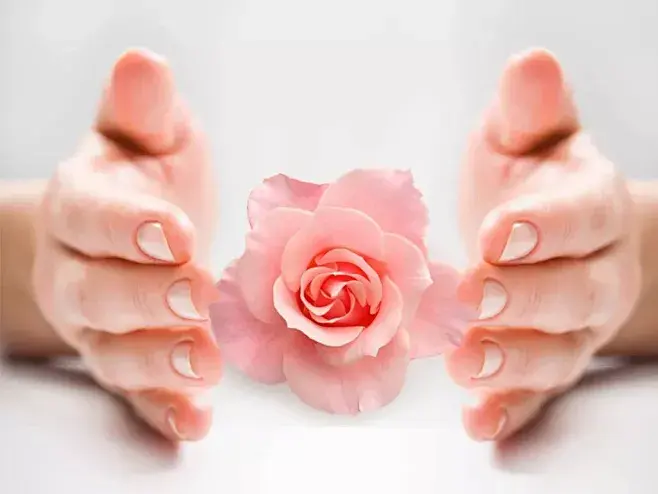 goji berry herbal tea promotes the balance of female hormones goji berry herbal tea promotes the balance of female hormones