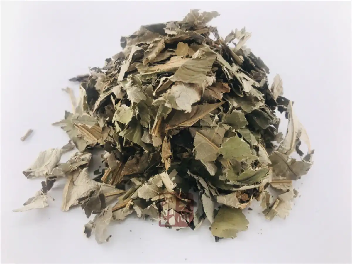 Lotusblatt chinesische Kräutermedizin