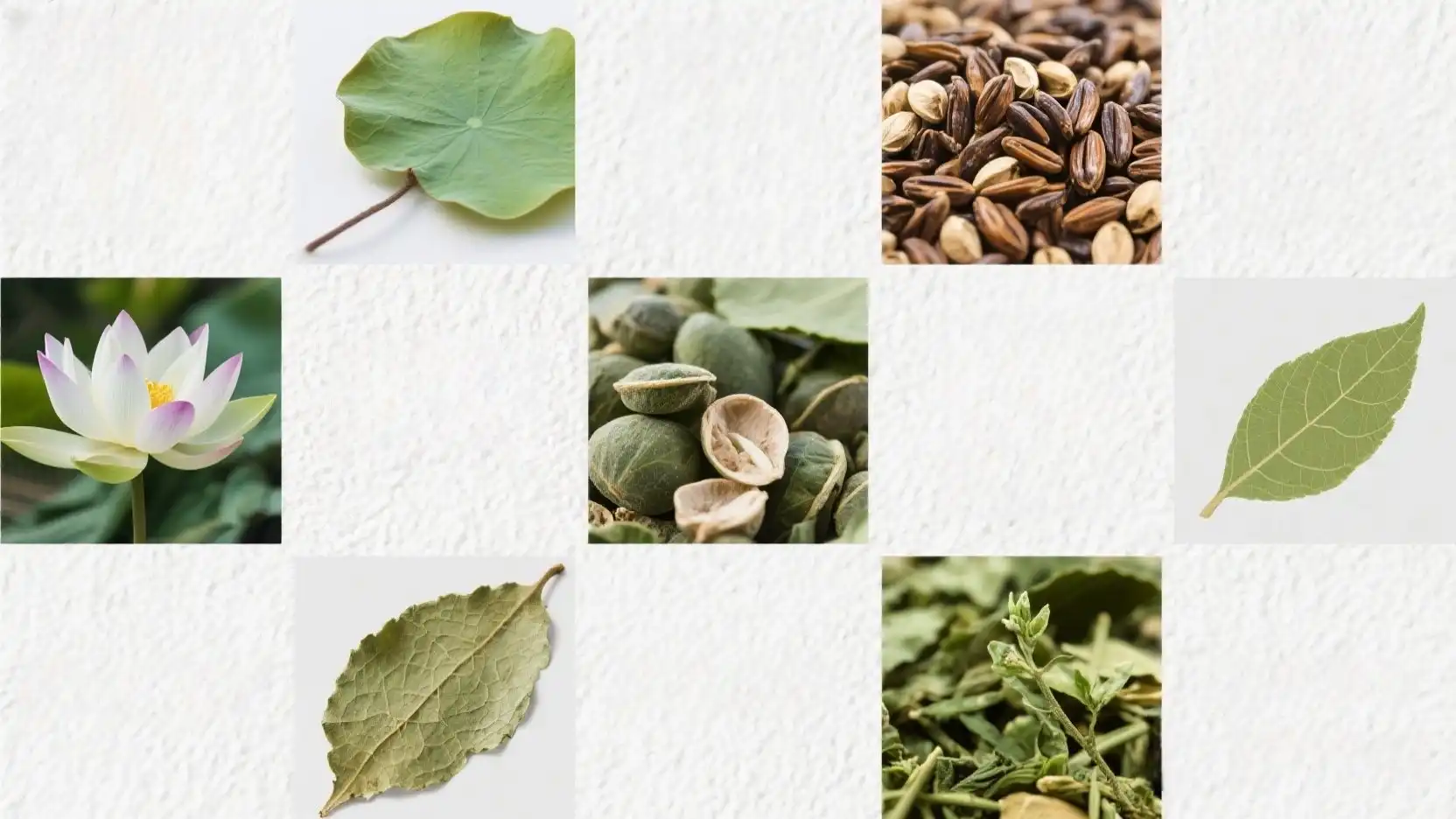 Be Skinny Detox Tea Core Ingredients Explained