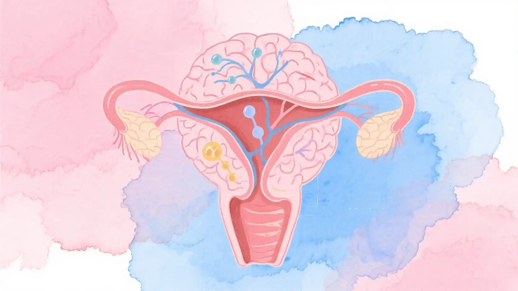Science Behind Womb Health and Emotional Stability Science Behind Womb Health and Emotional Stability