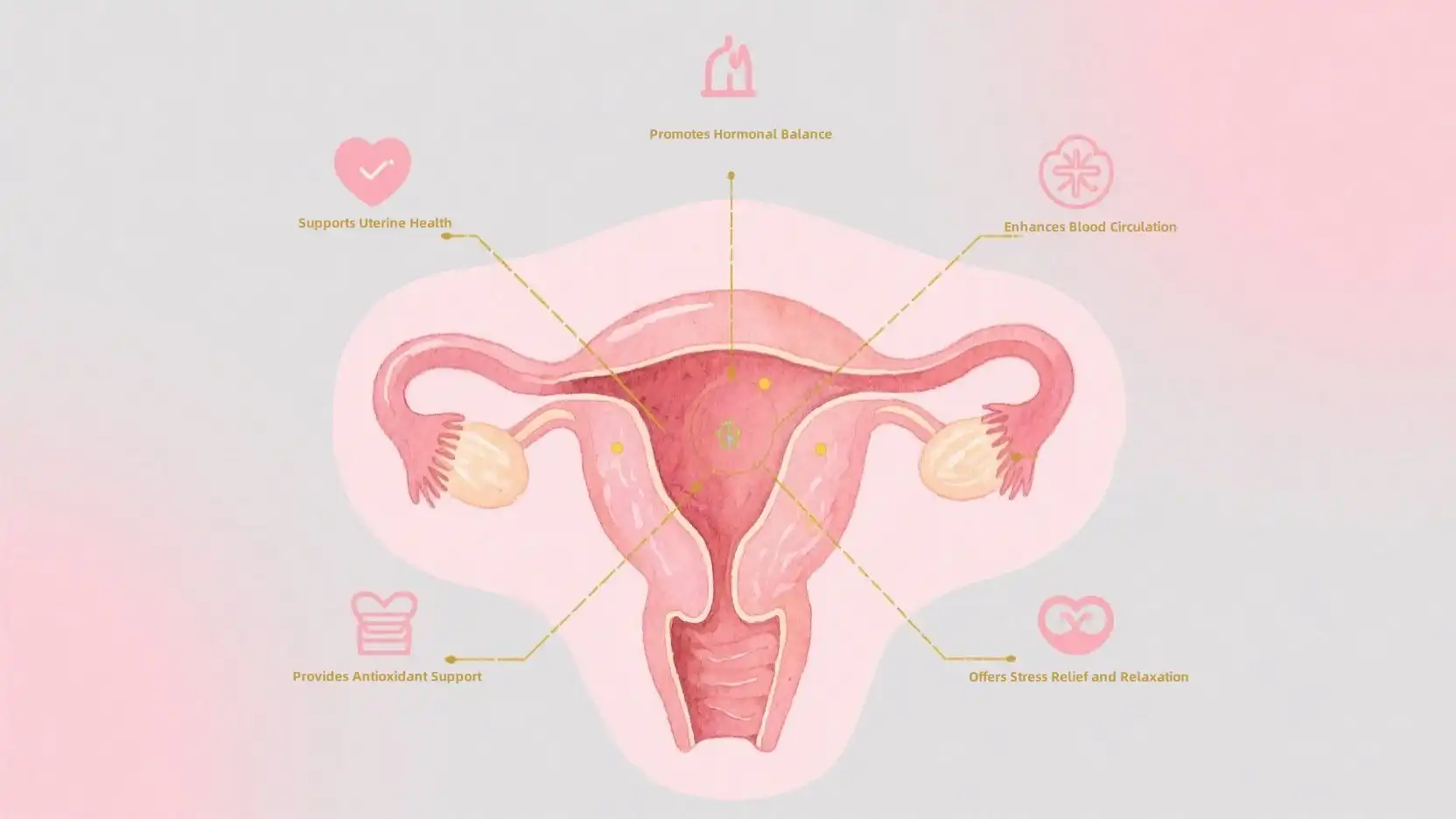 5 Science-Backed Benefits of Womb Tea