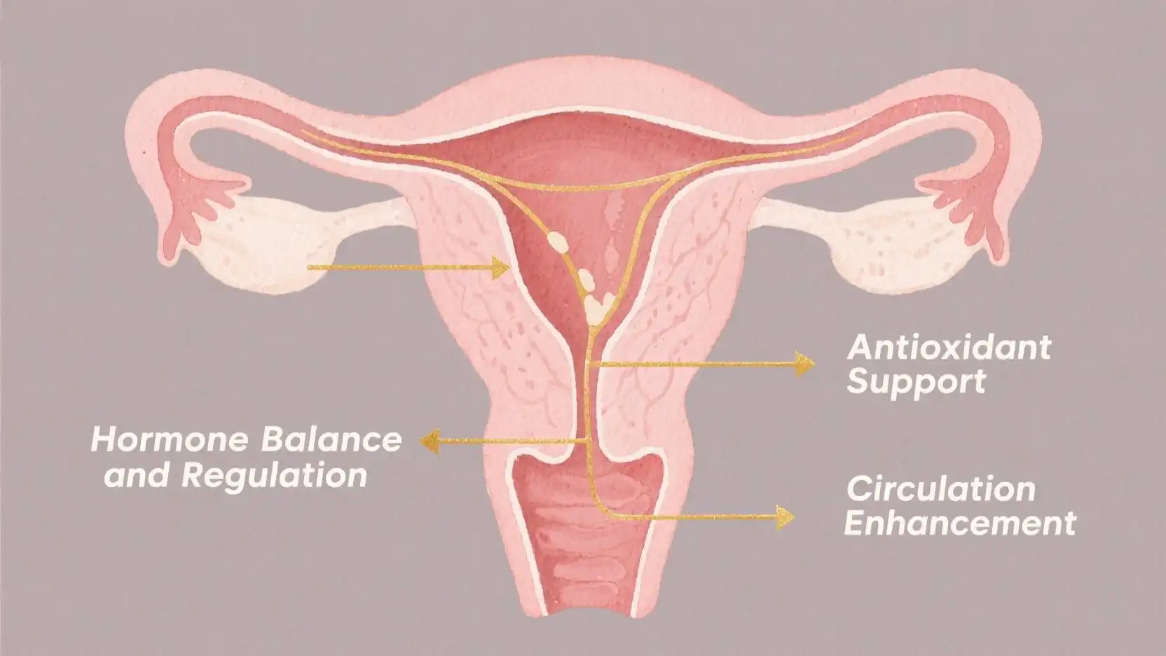 Wissenschaft hinter der Linderung von Menstruationsschmerzen