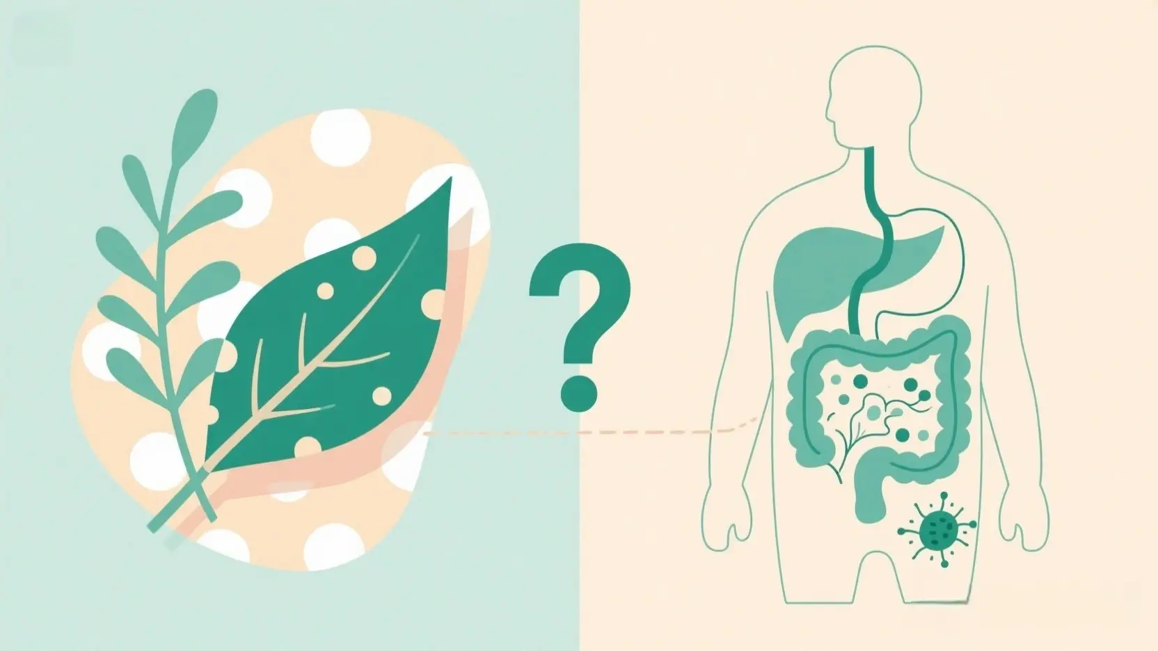 Can Herbal Teas Flush Uterine Toxins Science Perspective Can Herbal Teas Flush Uterine Toxins Science Perspective