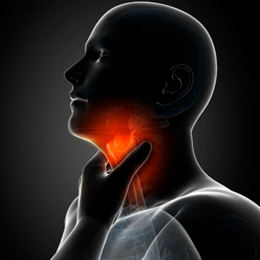 Respiratory tract anti-inflammation
