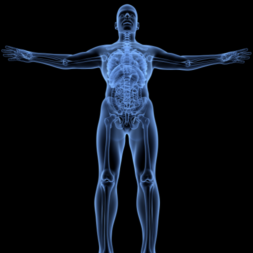 Enhance immune function
