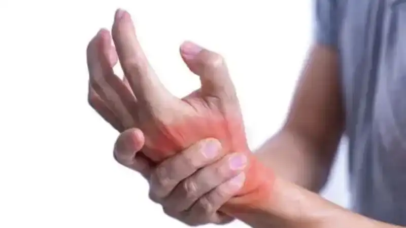 Ressenyes d'usuaris de te d'herbes per equilibrar l'àcid úric