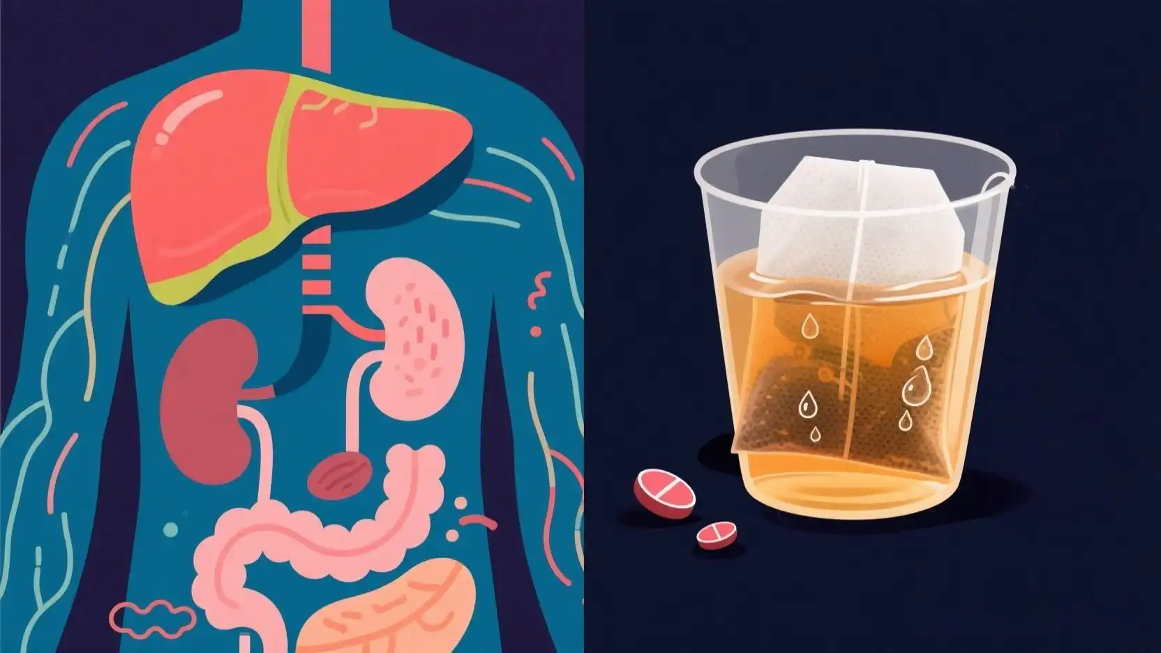 The Science Behind Detox Claims The Science Behind Detox Claims