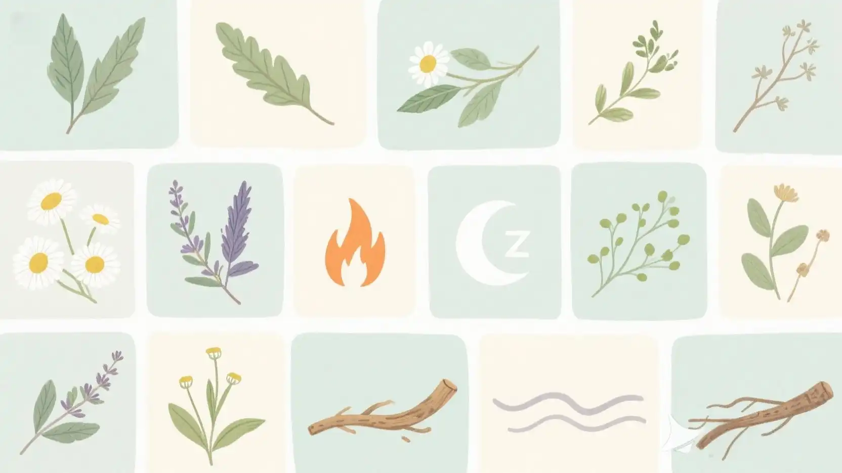 Matching Herbs to Menopause Symptoms Matching Herbs to Menopause Symptoms