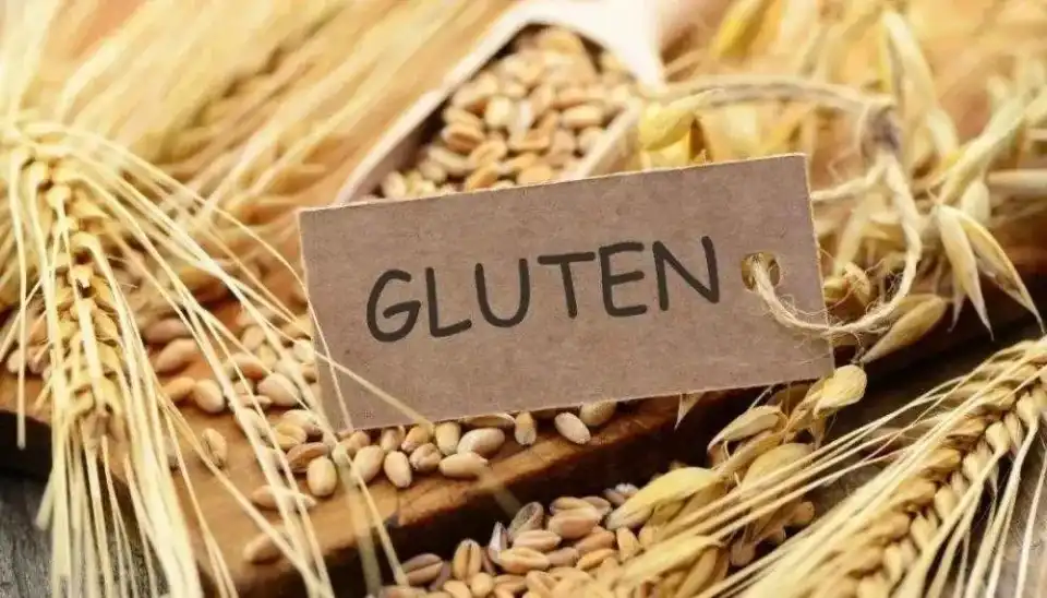Gluten Allergy