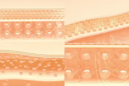 Enhance the elasticity of the buttocks' skin Enhance the elasticity of the buttocks' skin