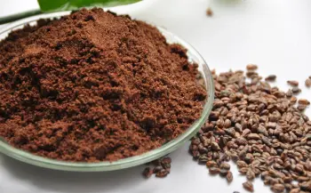 Grape seed extract Grape seed extract