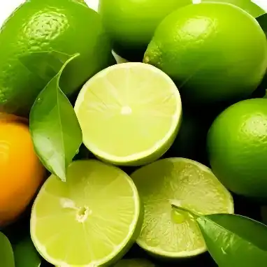 Antioxidant-Rich