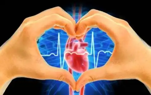 Ensure heart health by promoting blood circulation and reducing inflammation