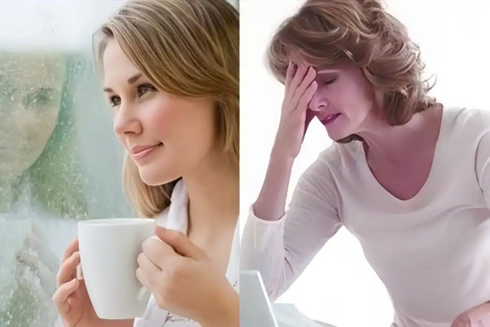 Female menopausal symptoms Female menopausal symptoms