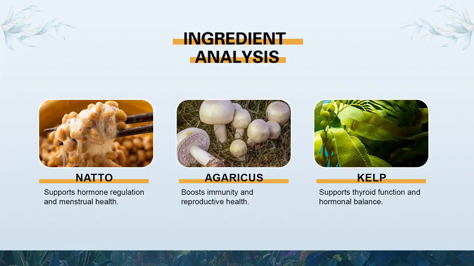 Common Ingredients in Reproductive Tea Common Ingredients in Reproductive Tea