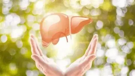 Liver health Liver health