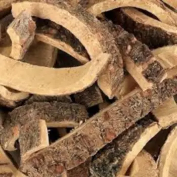 Cortex Albizziae Cortex Albizziae