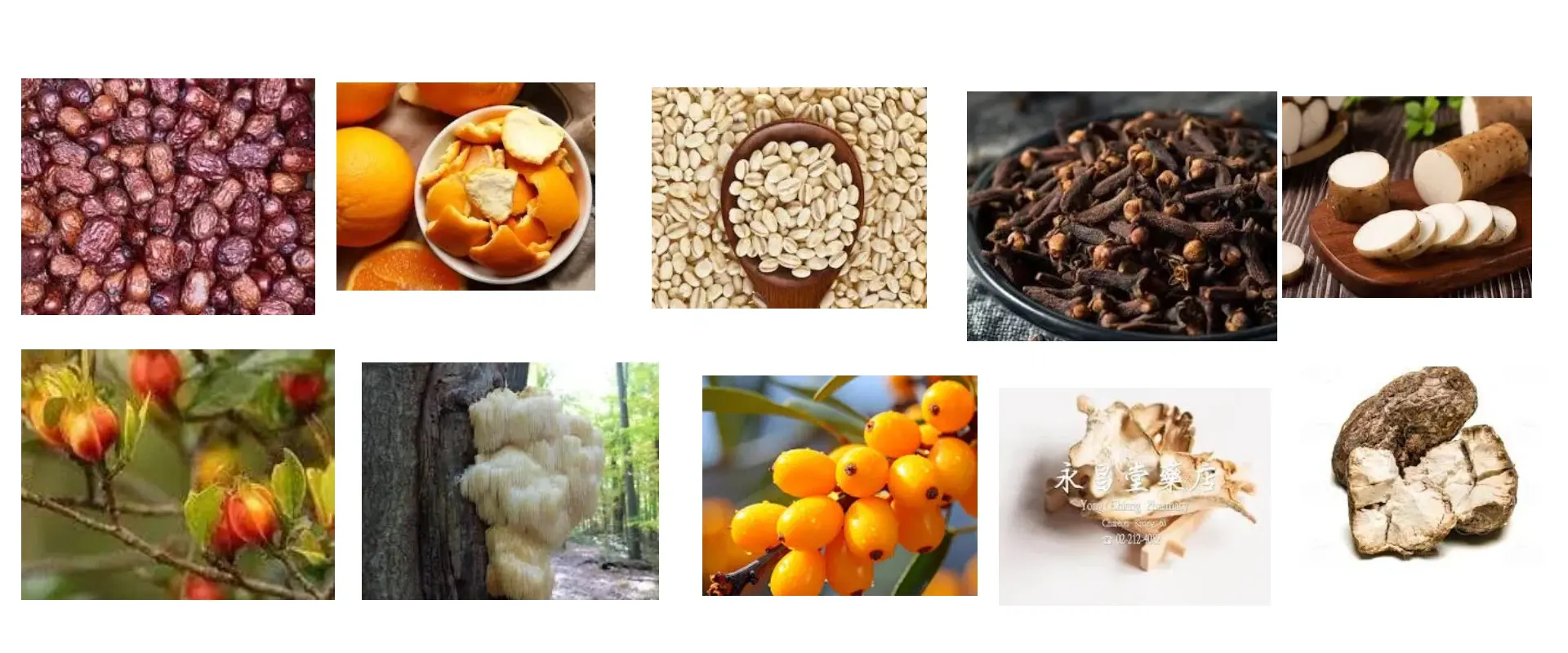 The 10 ingredients of Ulcer Healing Herbal Tea