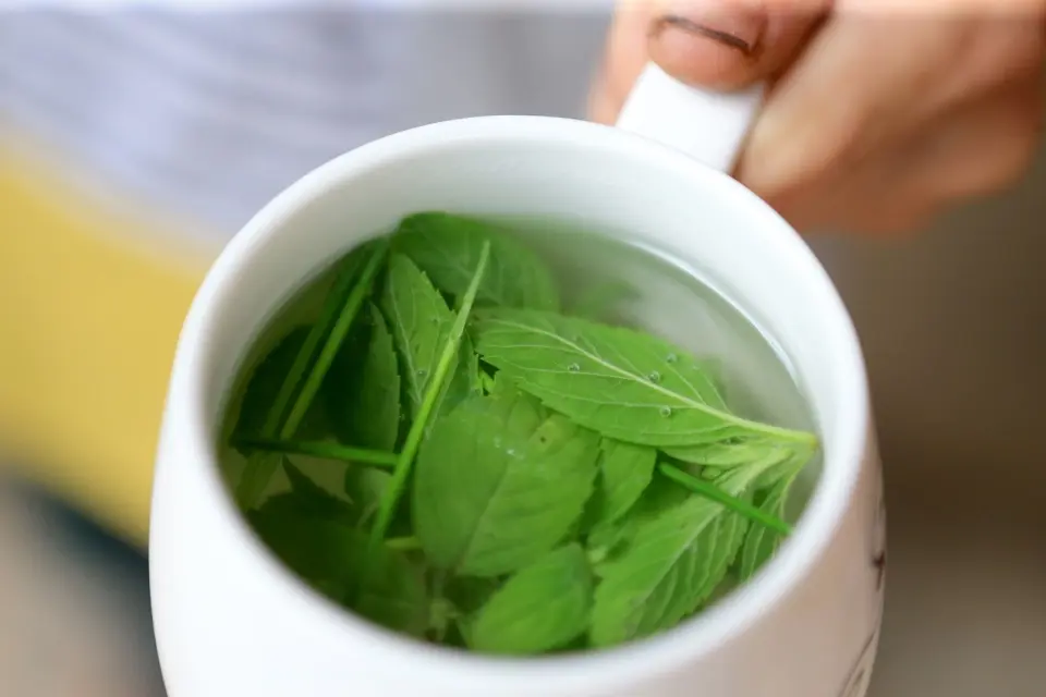 Peppermint Tea Peppermint Tea