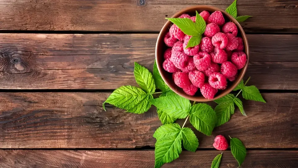 An image of fresh or dried raspberry leaves