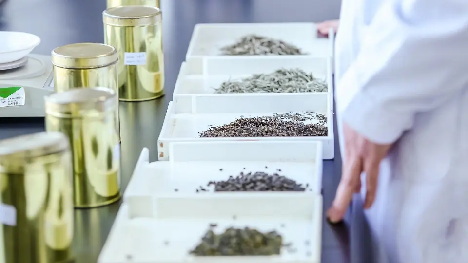Scientists are conducting research on herbal teas from traditional Chinese medicine Scientists are conducting research on herbal teas from traditional Chinese medicine