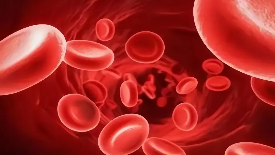 Womb tea promotes blood circulation in the uterus