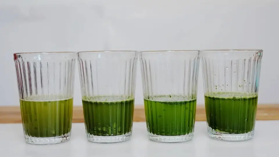 The color of matcha powder of different qualities varies greatly after being brewed The color of matcha powder of different qualities varies greatly after being brewed