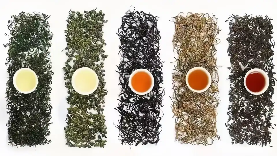 Green tea, black tea, oolong tea, white tea, peony tea